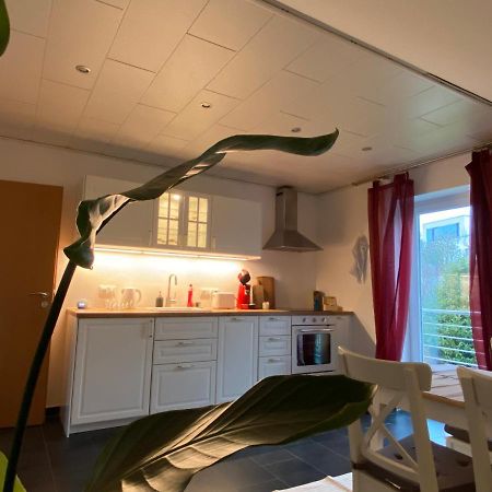 Moderne Ferienwohnung Seeblick Freudenberg  Kültér fotó