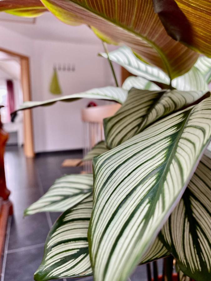 Moderne Ferienwohnung Seeblick Freudenberg  Kültér fotó